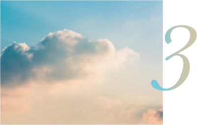 Etapas del tratamiento Vuelo Libre