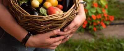 Startup Europe Accelerator